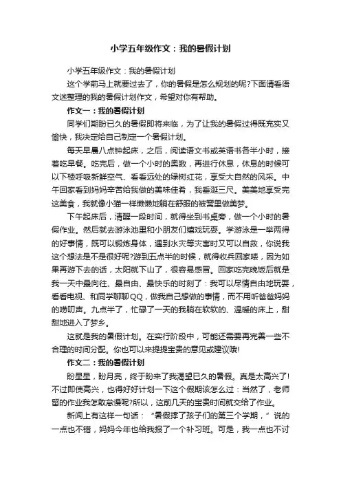 小学五年级作文：我的暑假计划