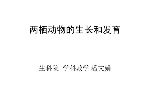 两栖动物的生长和发育