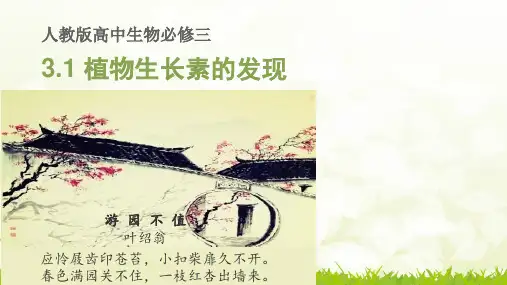 人教版高中生物必修三第3章第1节   植物生长素的发现  课件(共25张PPT)[优秀课件资料]