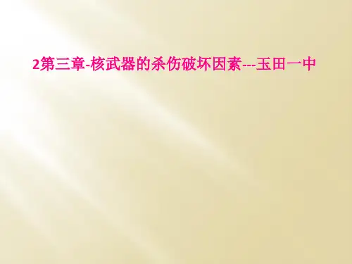 2第三章核武器的杀伤破坏因素玉田一中