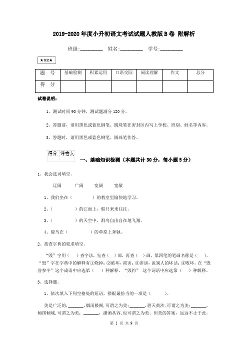 2019-2020年度小升初语文考试试题人教版B卷 附解析