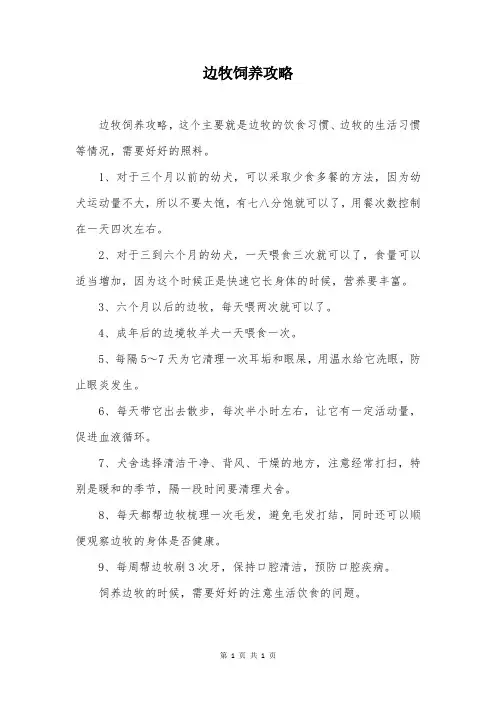 边牧饲养攻略