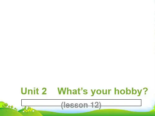 精通版六年级英语上册Unit 2 What's your hobby Lesson 12 课件2