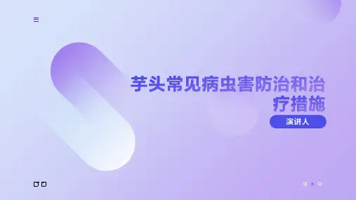 芋头常见病虫害防治和治疗措施
