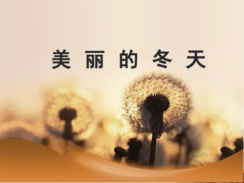 一年级上道德与法治课件-美丽的冬天(人教新版) (10)(77页PPT)【推荐】
