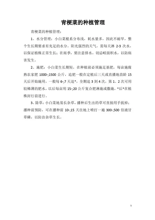 青梗菜的种植管理