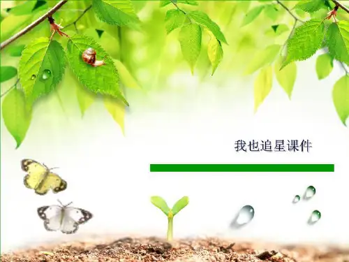 我也追星课件