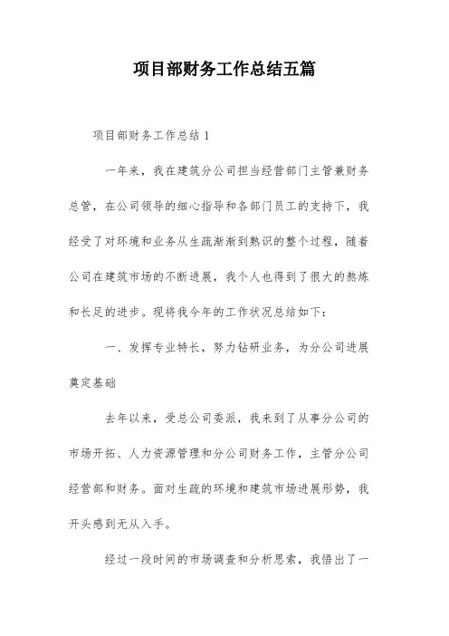项目部财务工作总结五篇