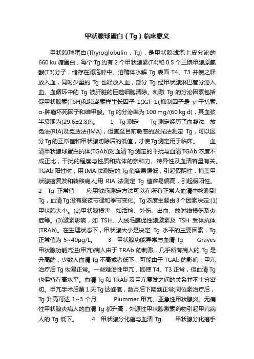 甲状腺球蛋白（Tg）临床意义