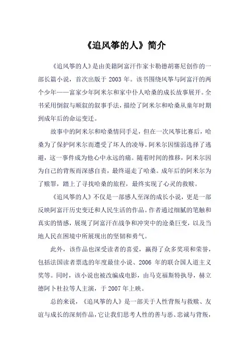 《追风筝的人》简介