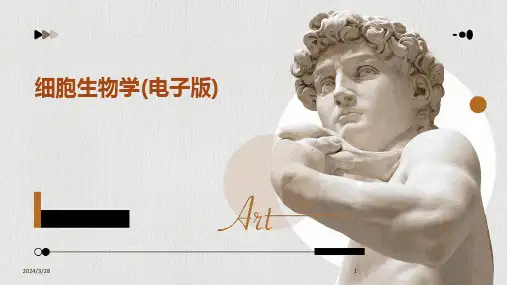 细胞生物学(电子版)-2024鲜版