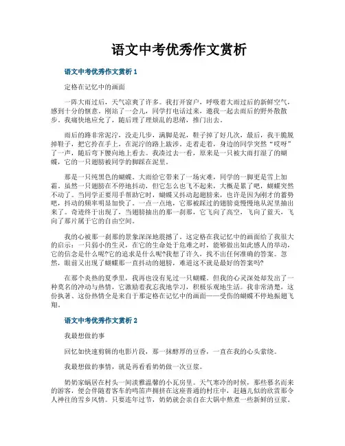 语文中考优秀作文赏析
