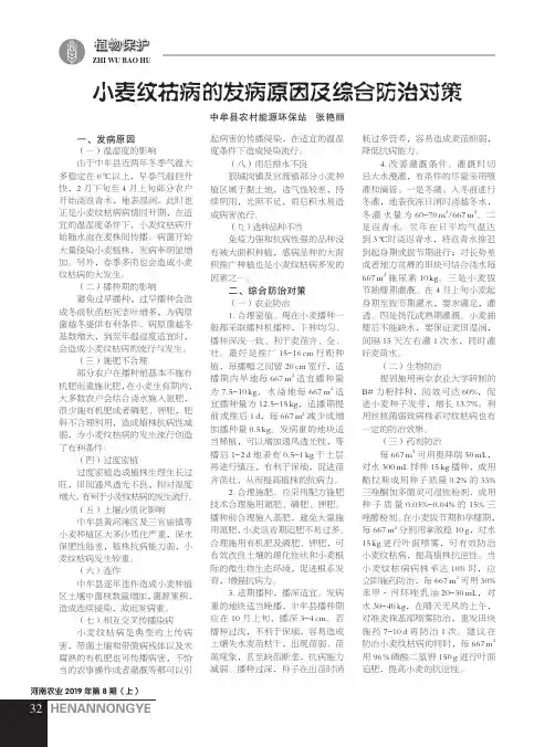 小麦纹枯病的发病原因及综合防治对策