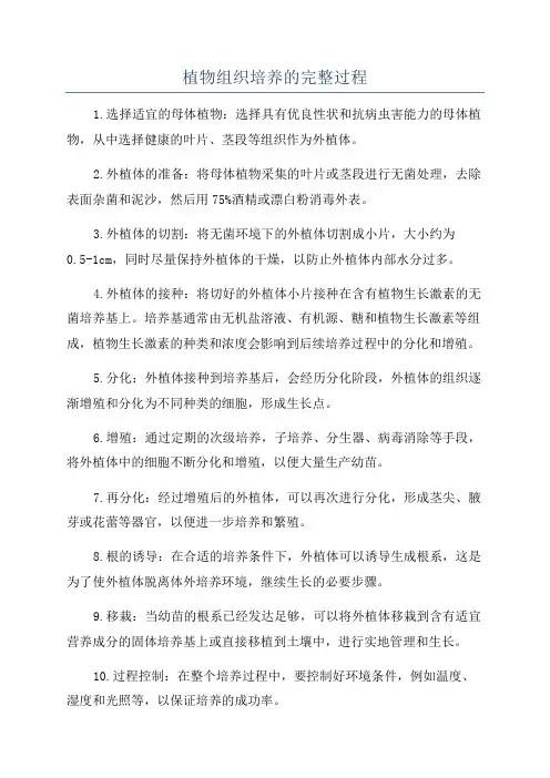 植物组织培养的完整过程