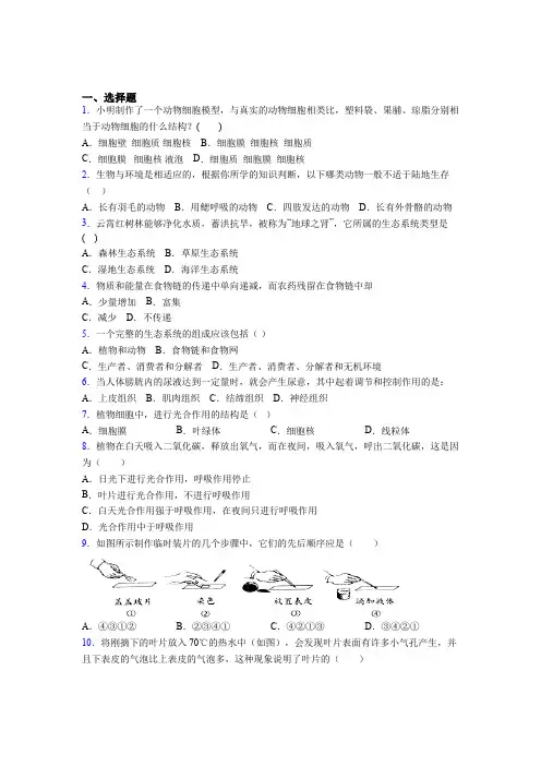 天津市和平区2019年七上生物期末模拟学业水平测试试题之二