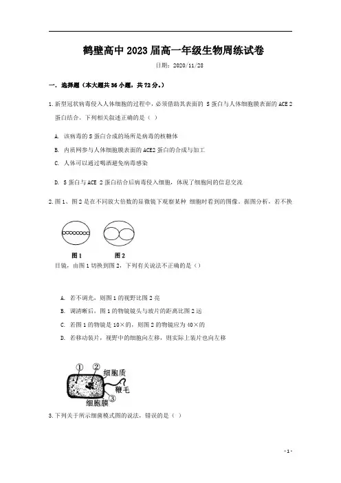 河南省鹤壁市高级中学2020-2021学年高一上学期11.28周练生物试题 含答案