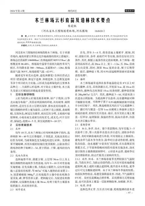 木兰林场云杉育苗及造林技术要点