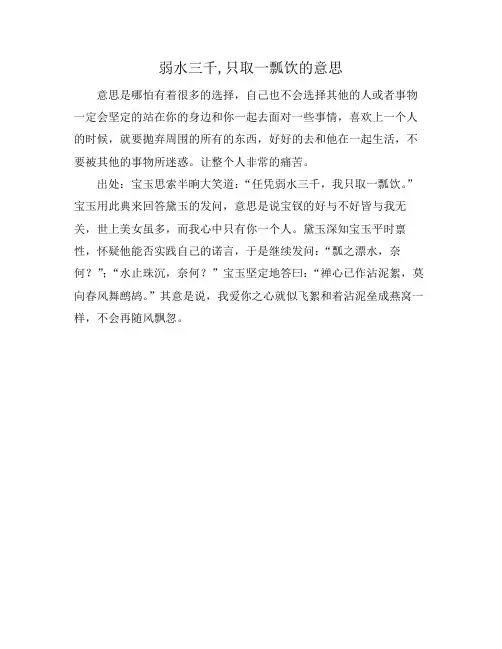 弱水三千,只取一瓢饮的意思
