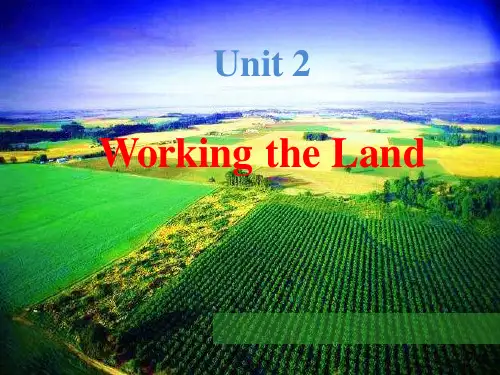 高中英语《Unit2 Working the Land》优质教学课件
