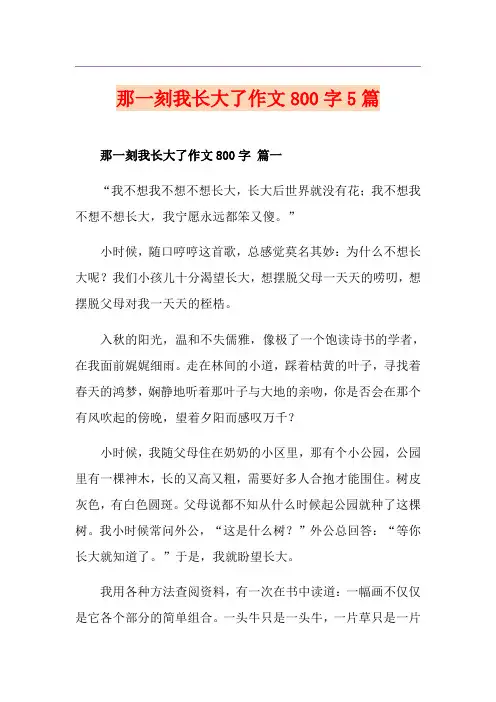 那一刻我长大了作文800字5篇