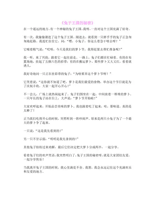 《兔子王国的秘密》