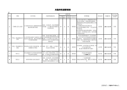 风险和机遇管理表