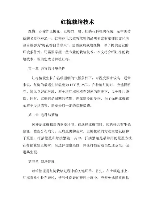红梅栽培技术