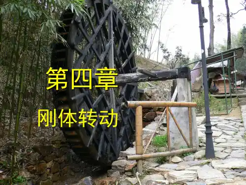 刚体1(精)