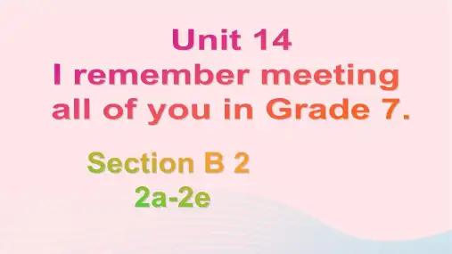 英语九年级全册Unit14B2a-2e教学课件 人教新目标版
