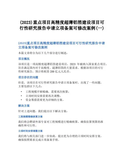 (2023)重点项目高精度超薄铝箔建设项目可行性研究报告申请立项备案可修改案例(一)