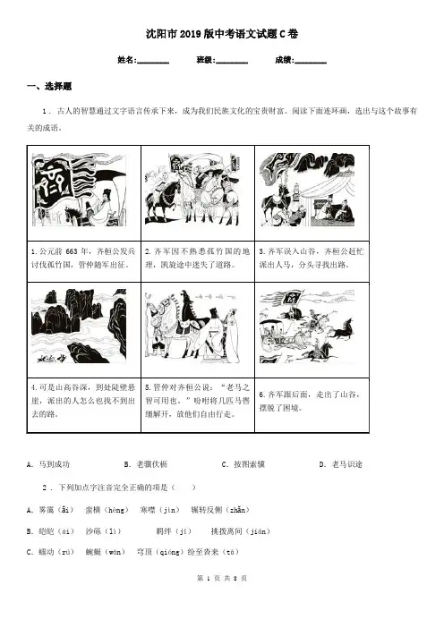 沈阳市2019版中考语文试题C卷