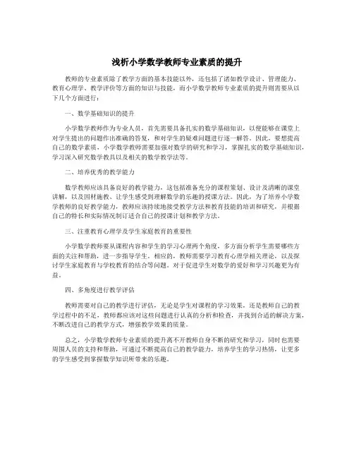 浅析小学数学教师专业素质的提升