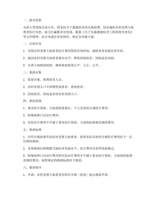 大病专项救助实施方案