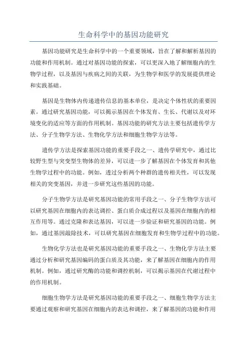 生命科学中的基因功能研究