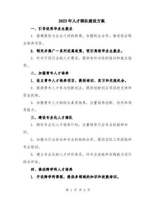 2023年人才梯队建设方案