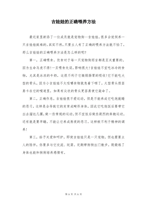吉娃娃的正确喂养方法