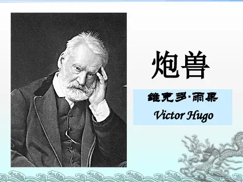 《炮兽》课件