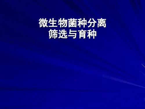 微生物菌种分离__筛选与育种