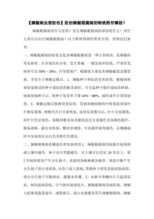【辣椒病虫害防治】防治辣椒根腐病的特效药有哪些？