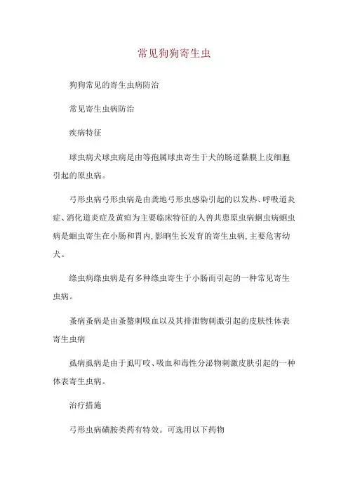 常见狗狗寄生虫
