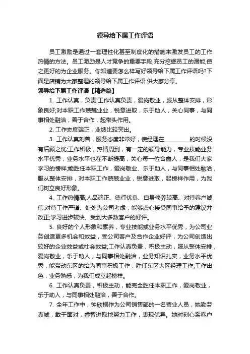 领导给下属工作评语