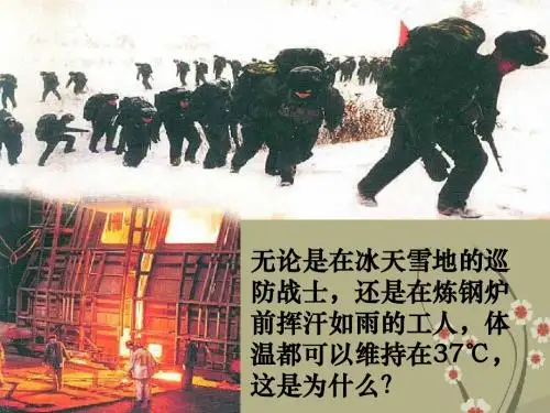 高中生物 第一章 人体的内环境与稳态课件 人教版必修3