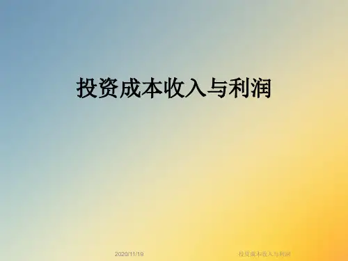 投资成本收入与利润