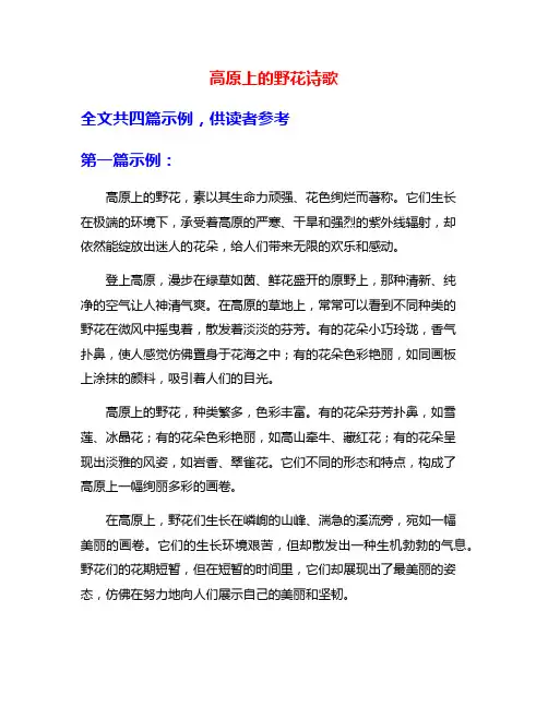 高原上的野花诗歌