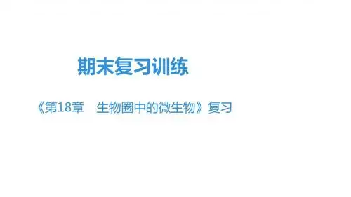 北师大版八年级上册生物期末复习训练课件《第18章 生物圈中的微生物》复习