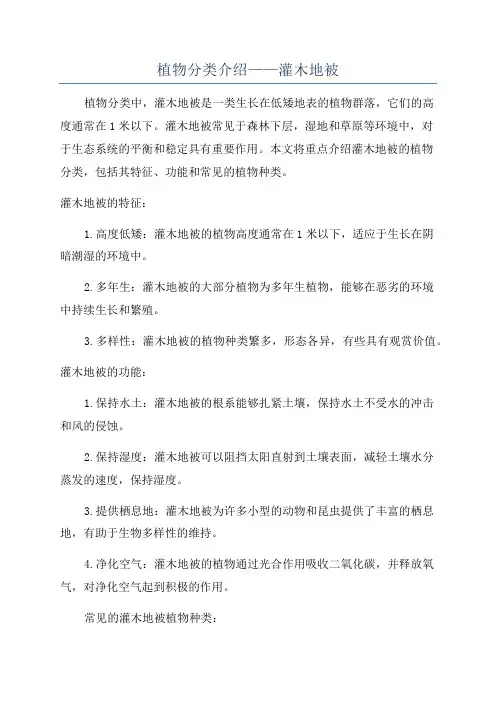 植物分类介绍——灌木地被