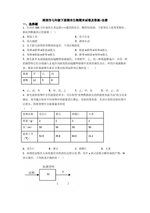 深圳市七年级下册期末生物期末试卷及答案-全册 2