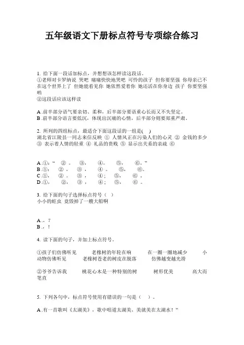 统编版五年级语文下册试题标点符号专项综合练习   