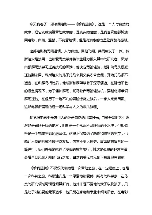 给我翅膀电影观后感800字