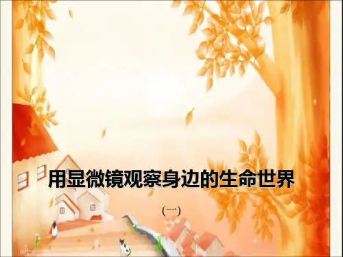 用显微镜观察身边的生命世界(一)